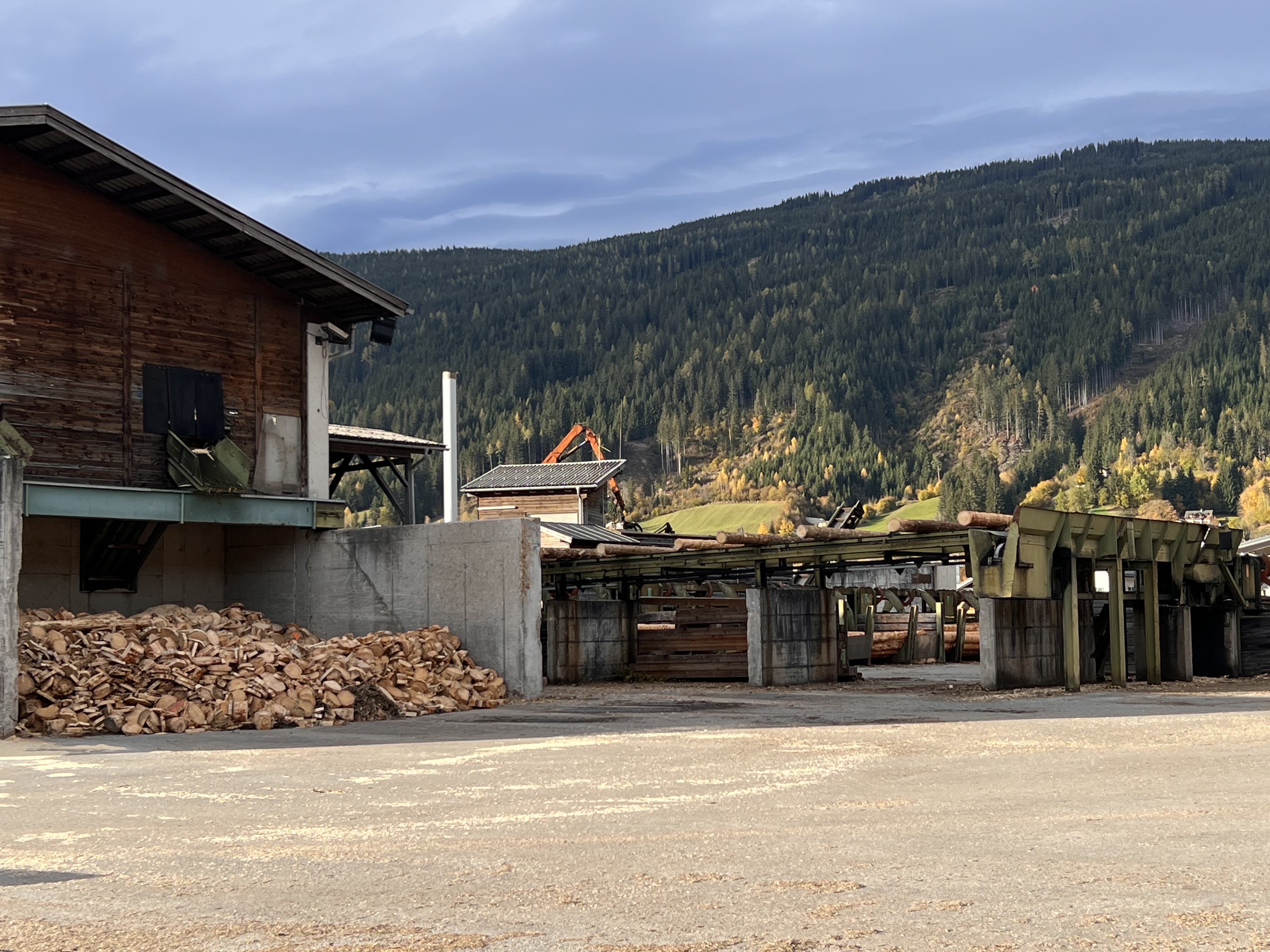 Rundholz Sortieranlage mit Entrindung - Bild 6