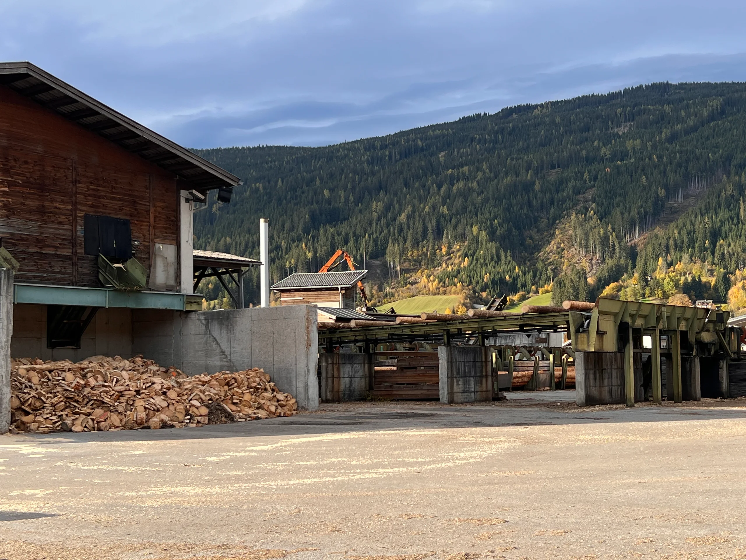 Rundholz Sortieranlage mit Entrindung - Bild 6