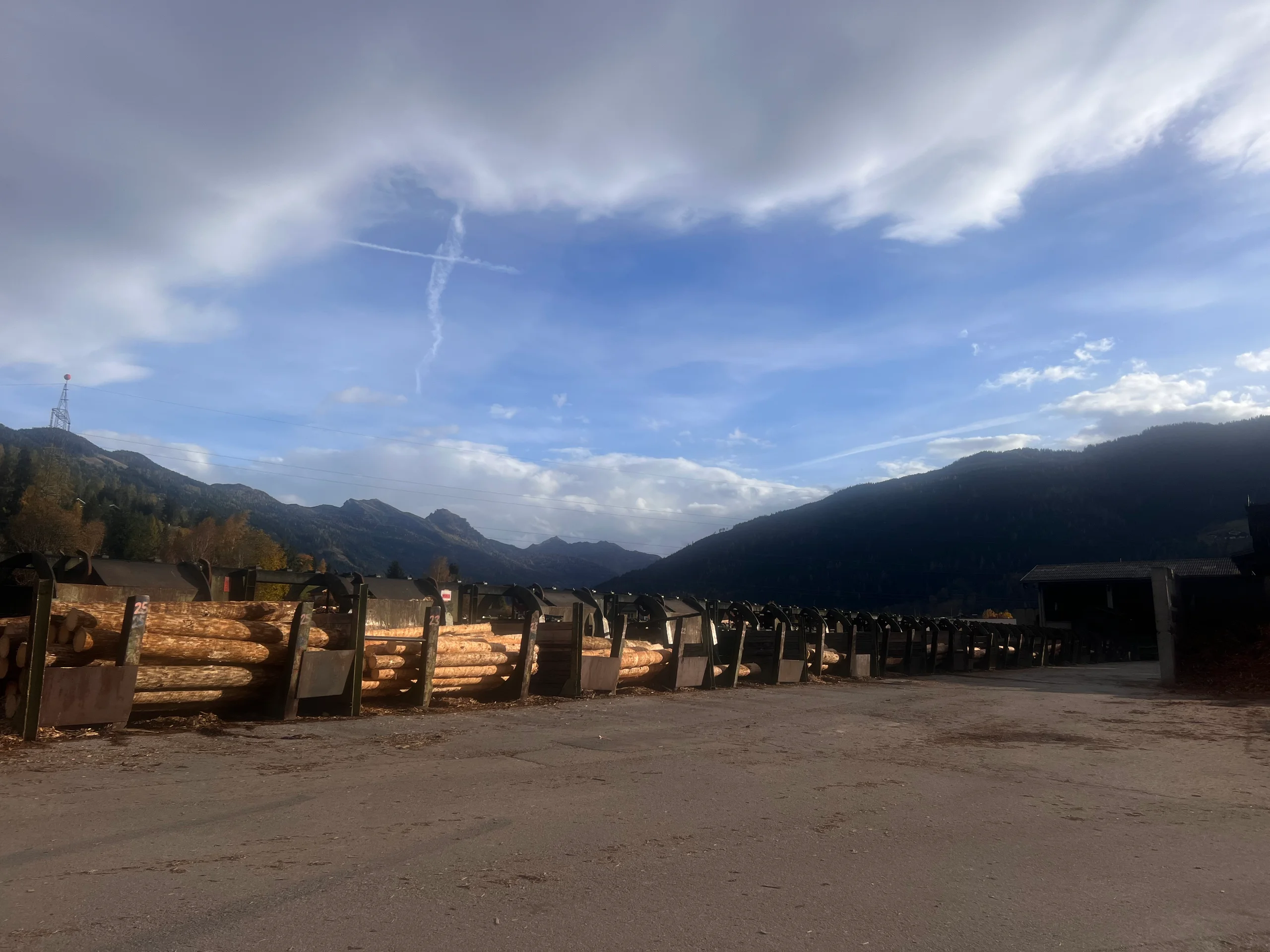 Rundholz Sortieranlage mit Entrindung - Bild 7