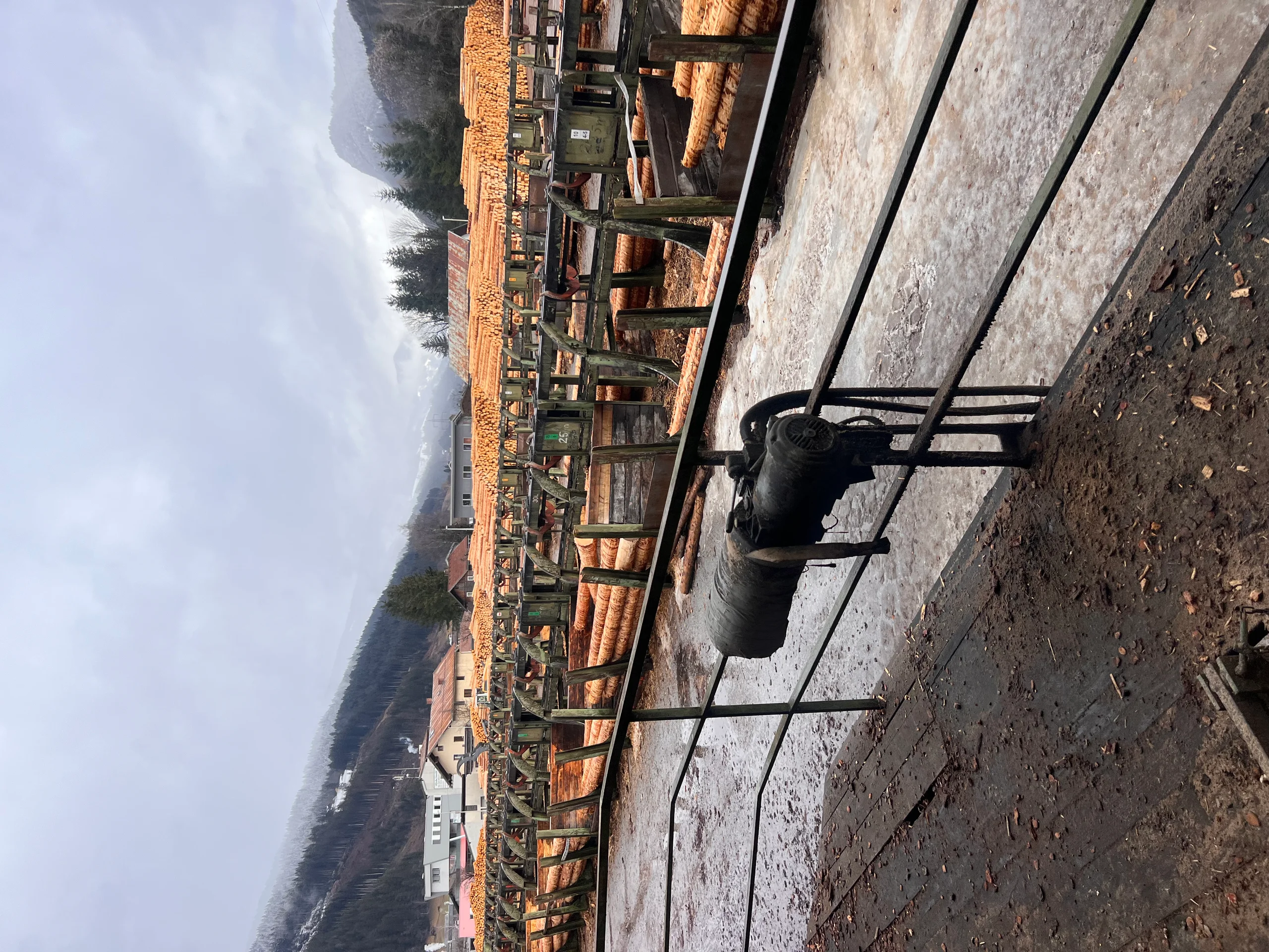 Rundholz Sortieranlage mit Entrindung - Bild 11