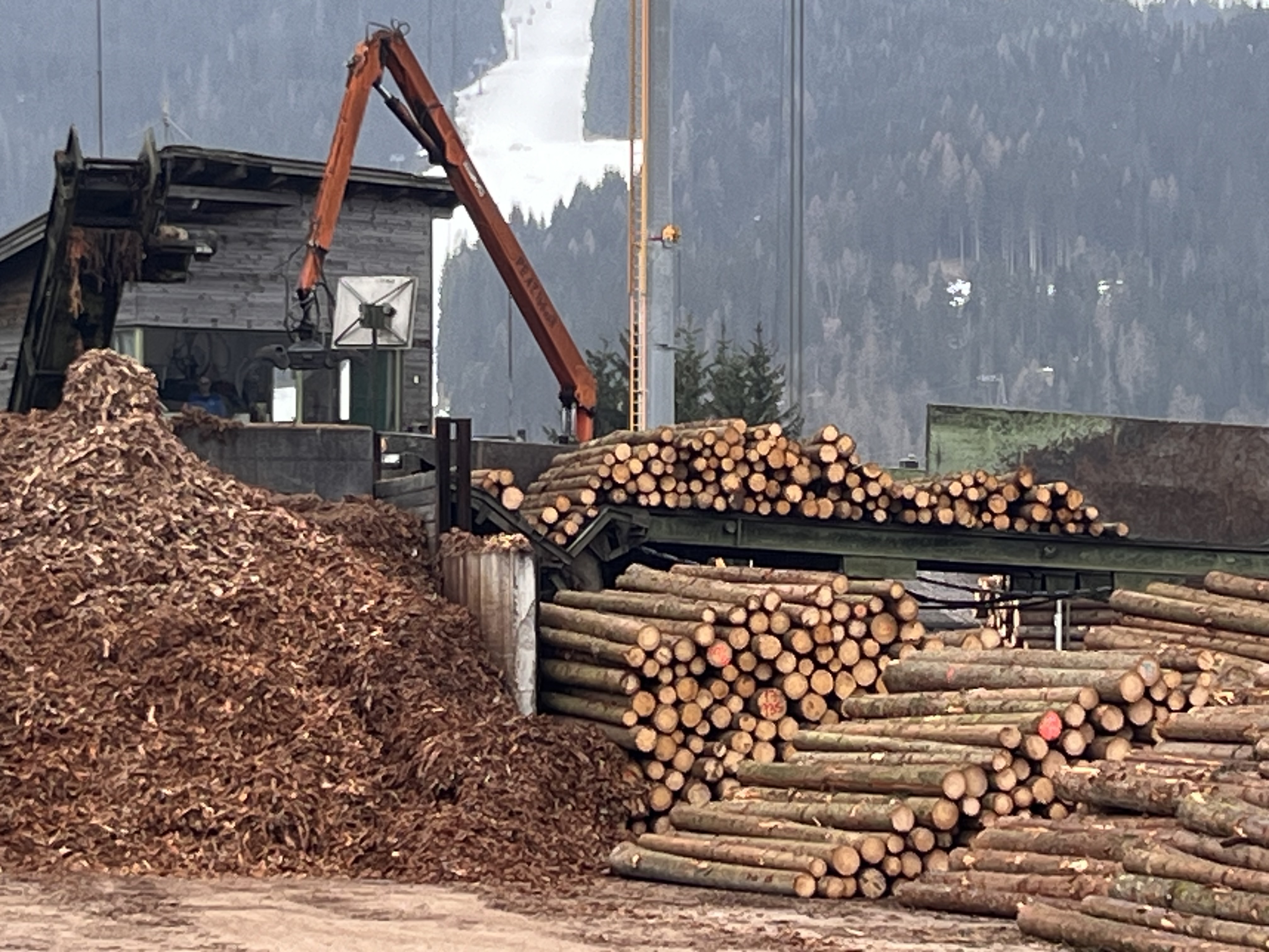 Rundholz Sortieranlage mit Entrindung