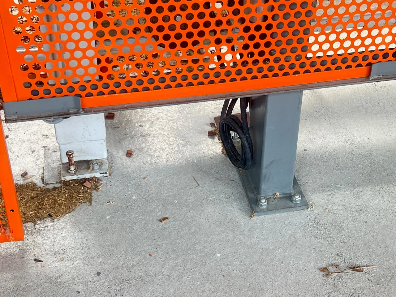 Vielblattsäge - Bild 6