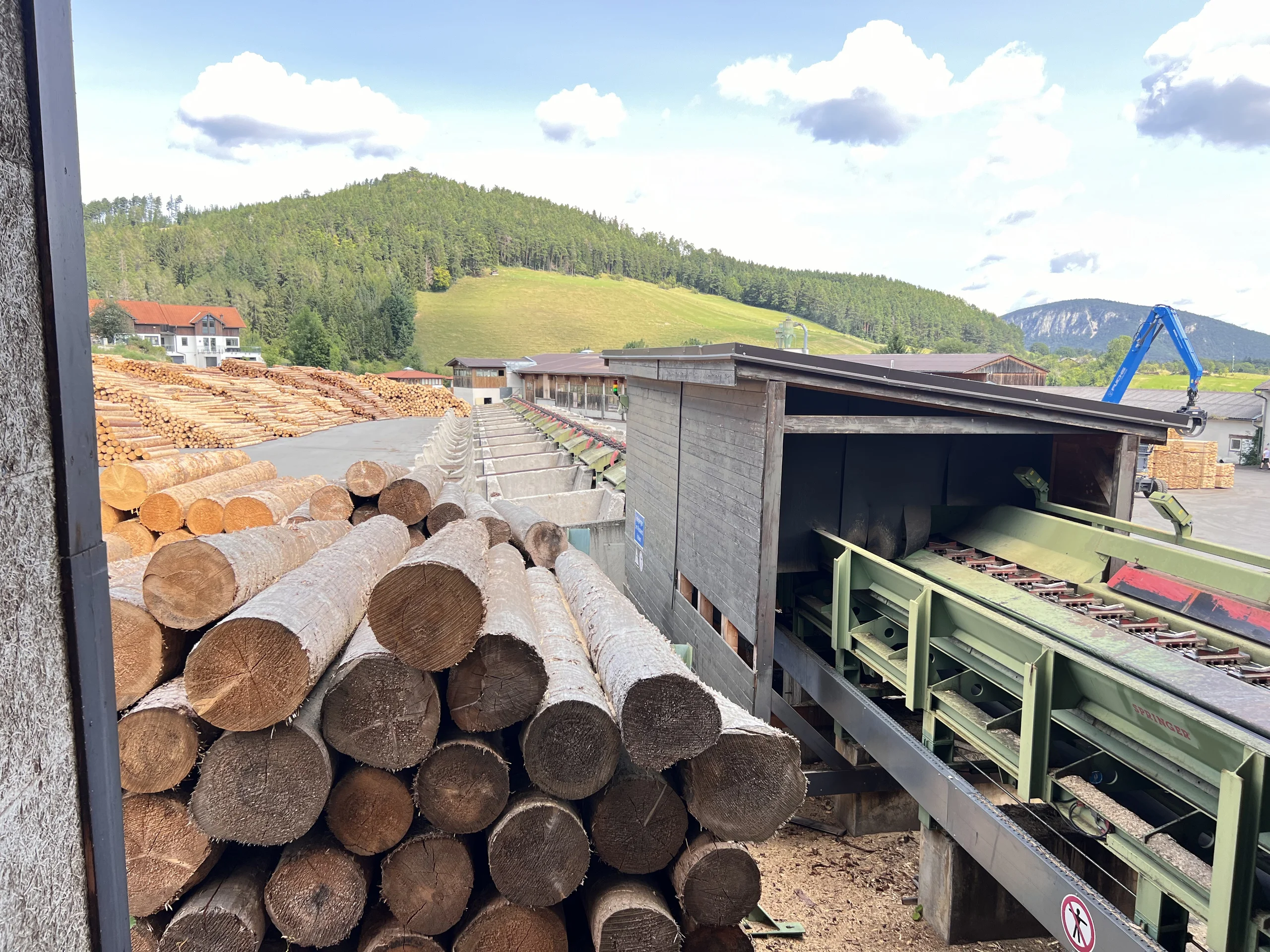 Sägewerksanlage: EWD - Springer - Nicholson.... - Bild 4