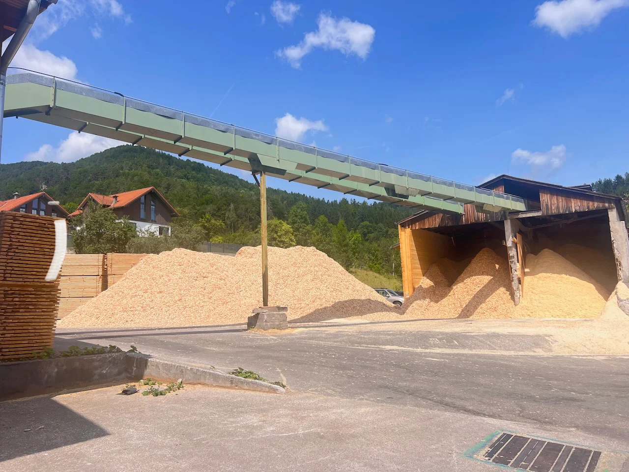 Sägewerksanlage: EWD - Springer - Nicholson.... - Bild 8